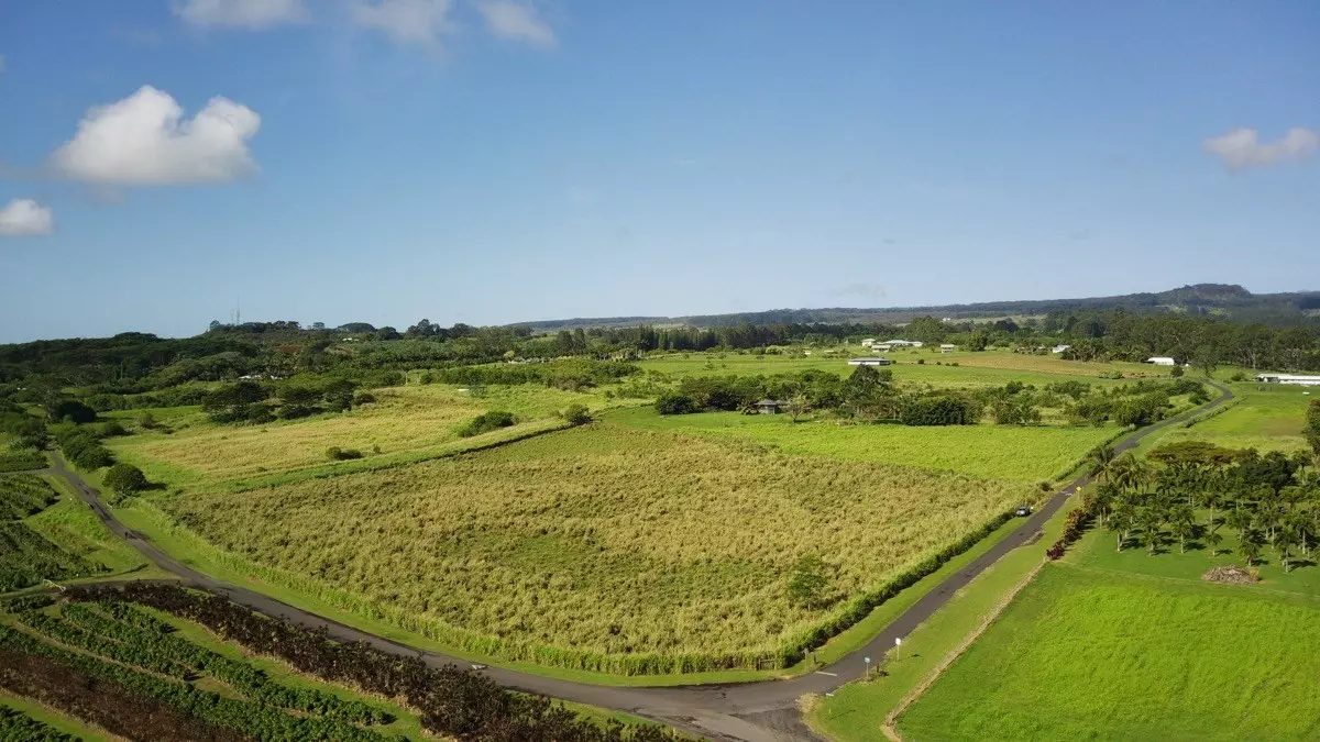 Pepeekeo, HI 96783,OPUA ROAD #Lot 11