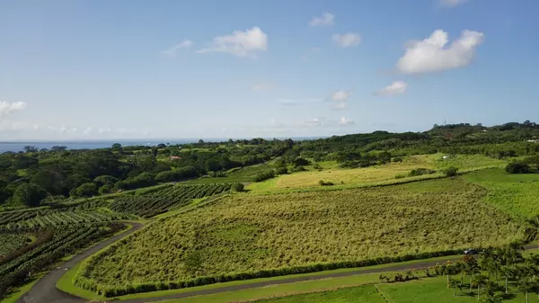 Pepeekeo, HI 96783,OPUA ROAD #Lot 11