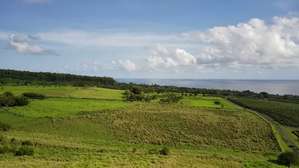 Pepeekeo, HI 96783,OPUA ROAD #Lot 11