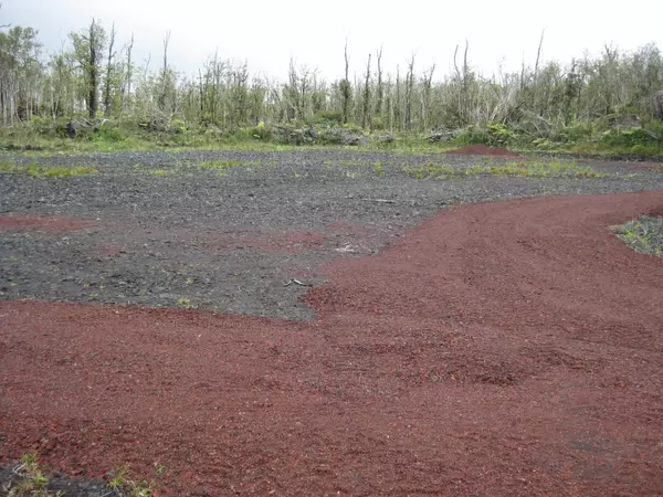 Volcano, HI 96785,ALA KAPENA