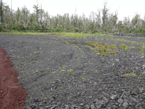 Volcano, HI 96785,ALA KAPENA