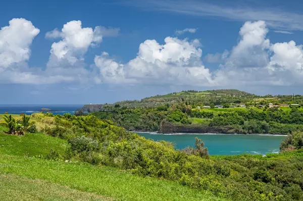 ANINI VISTA DR #7C, Kilauea, HI 96754