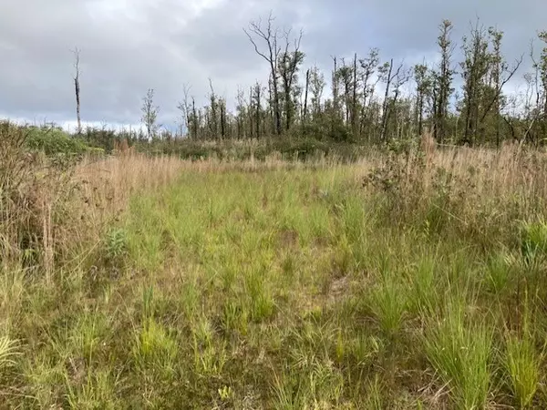 OHIALANI RD, Volcano, HI 96785