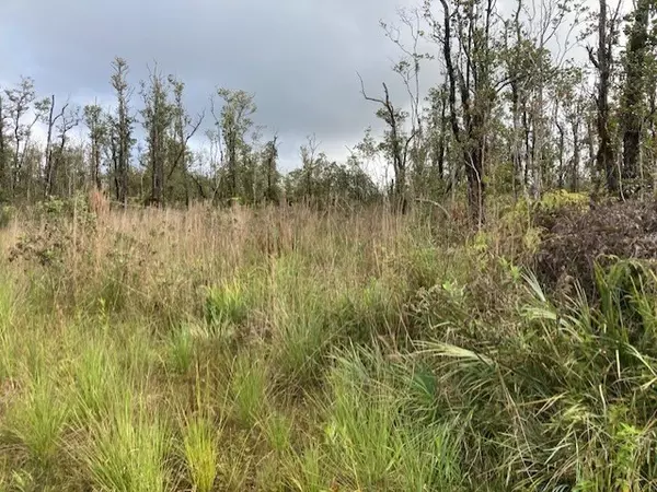 Volcano, HI 96785,OHIALANI RD