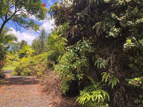 Pahoa, HI 96778,N KUMAKAHI ST