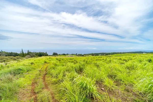 Laupahoehoe, HI 96764,AHOA RD