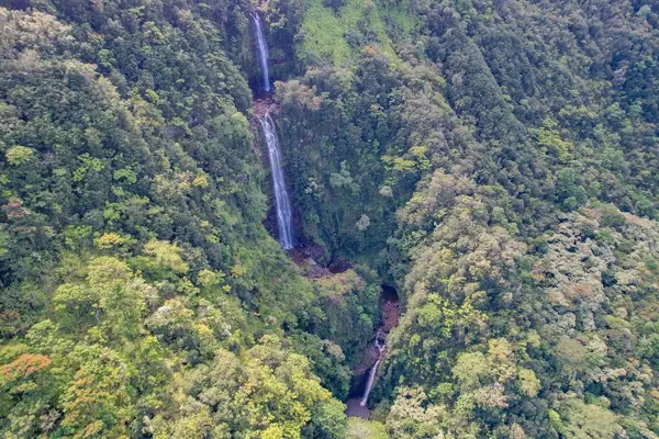 Papaaloa, HI 96780,34-1475 HAWAII  BELT RD