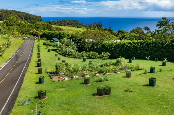 Laupahoehoe, HI 96764,36-3331 KUWILI LANI PLACE