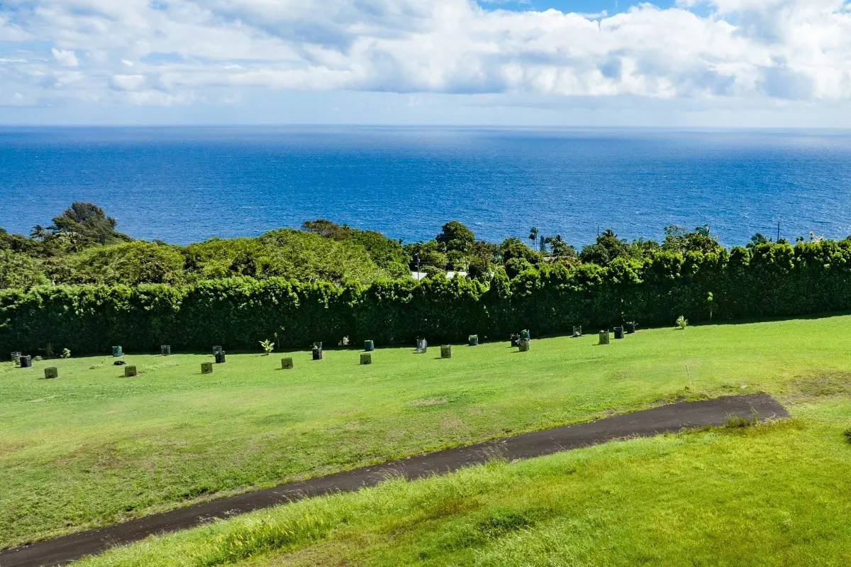 Laupahoehoe, HI 96764,36-3349 KUWILI LANI PLACE