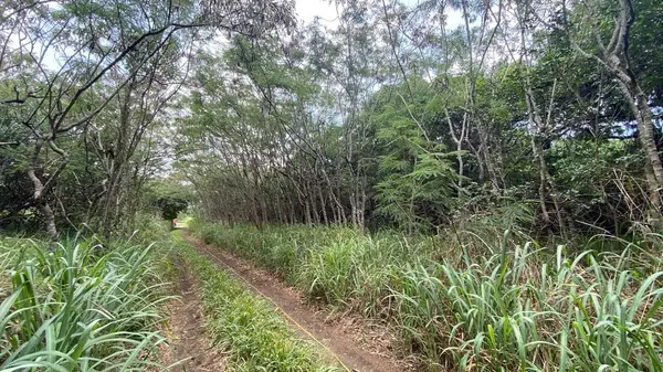 Naalehu, HI 96772,PUKA ST