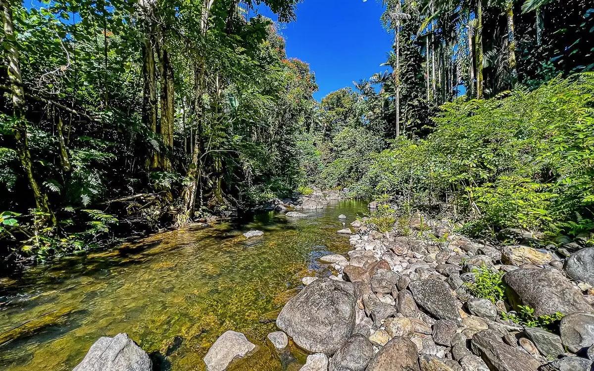 Papaikou, HI 96781,27-414 OLD MAMALAHOA HIGHWAY