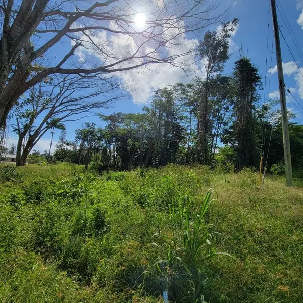 N KAWAKAWA ST, Pahoa, HI 96778