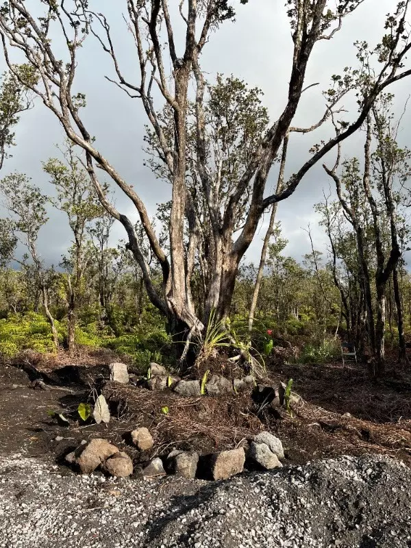 Volcano, HI 96785,11-2545 KALEPONI DR