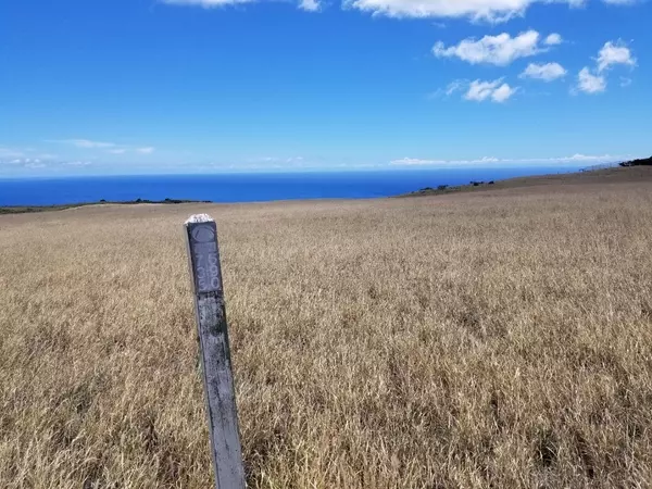 Kamuela, HI 96743,UALANI PL #LOT #690