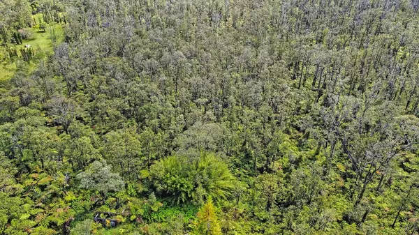 ALII KANE ST, Volcano, HI 96785