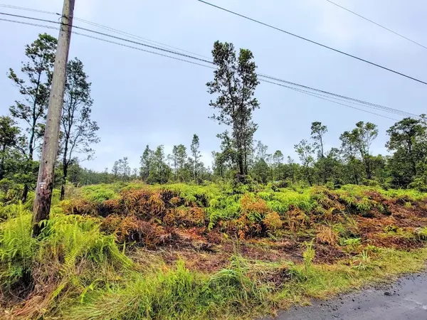 MAILENANI RD, Volcano, HI 96785