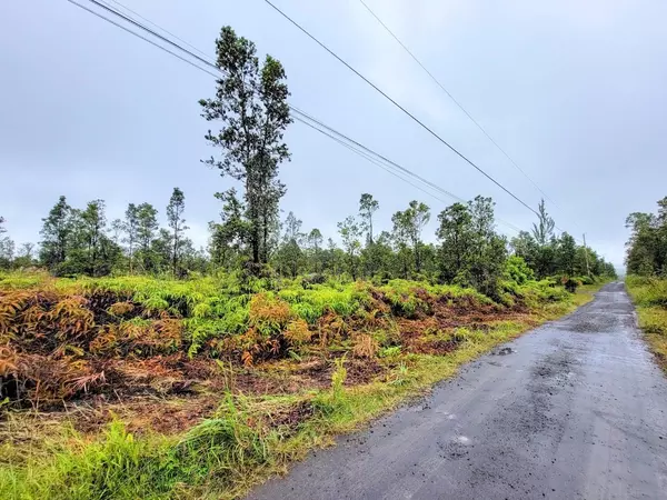 Volcano, HI 96785,MAILENANI RD