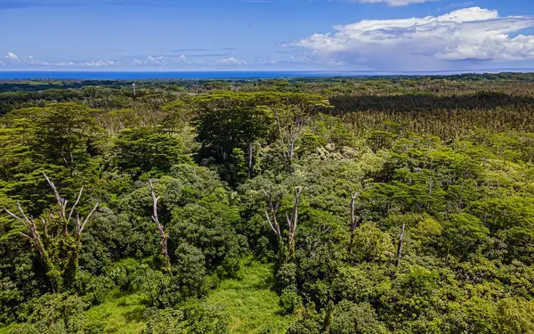 Pahoa, HI 96778,PAHOA-KAPOHO RD