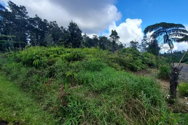 Volcano, HI 96785,11-3946 NAHELENANI ST