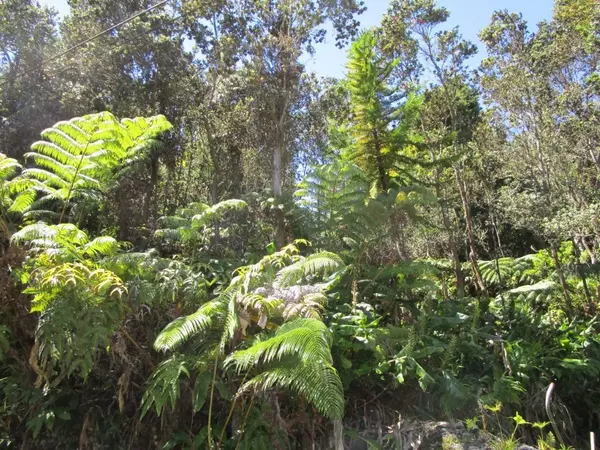 ALANUI IIWI, Volcano, HI 96785