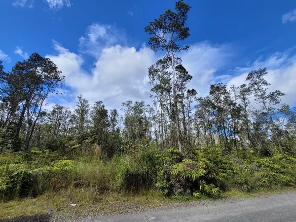 Volcano, HI 96785,11-2998 KALEPONI RD