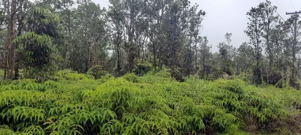 ULUHEMALU RD, Volcano, HI 96785