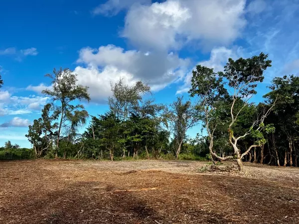 Pahoa, HI 96778,KAPOHO KALAPANA RD