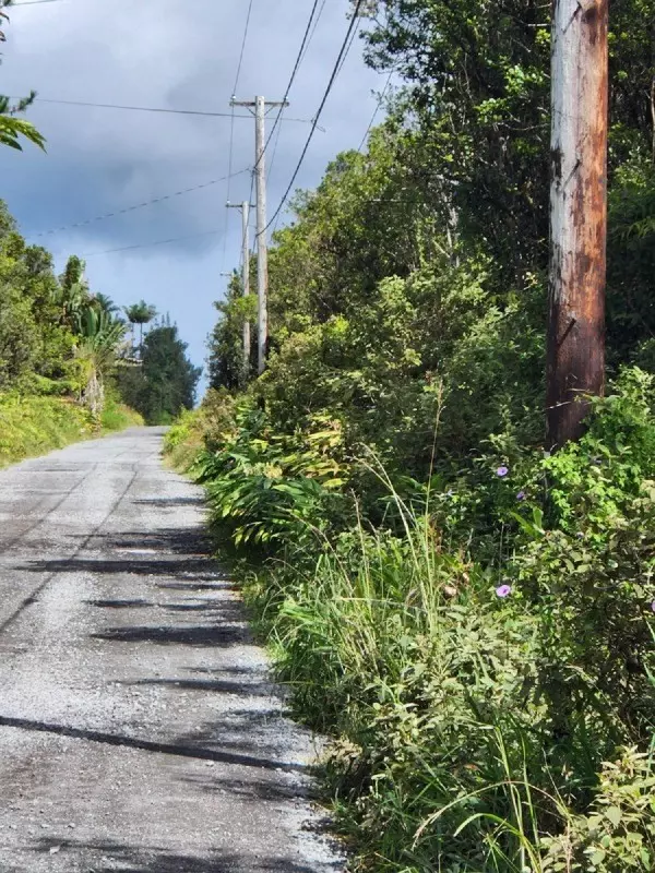 JUNGLE KING AVE, Volcano, HI 96785