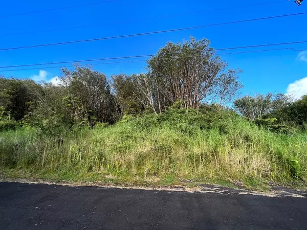 Volcano, HI 96785,18-4148 HILOHILO ST