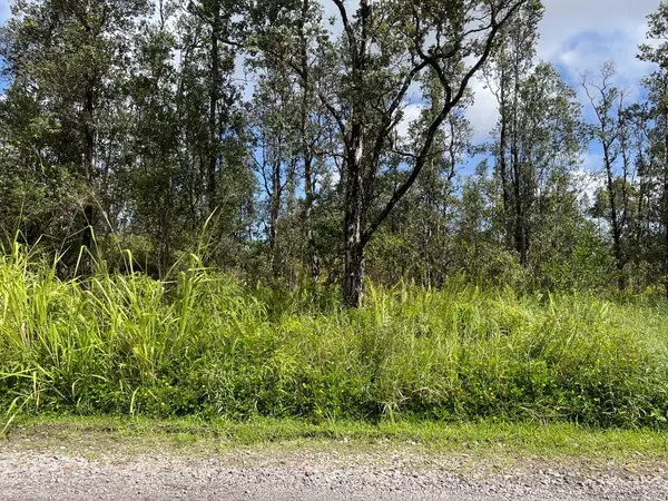 Kurtistown, HI 96760,Lot 59 40TH AVE