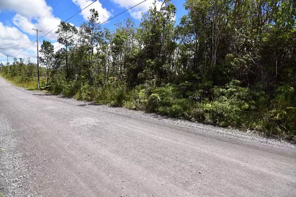 Volcano, HI 96785,OMEKA RD