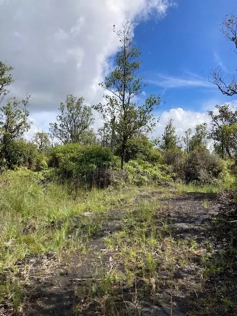 Volcano, HI 96785,OHIALANI RD