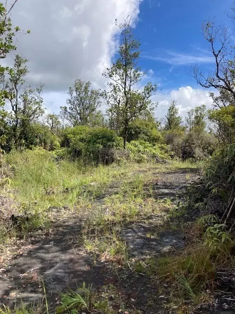 Volcano, HI 96785,OHIALANI RD