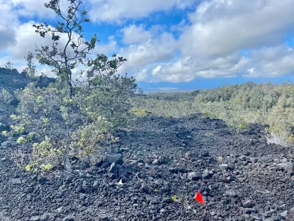 TIKI LN, Ocean View, HI 96737