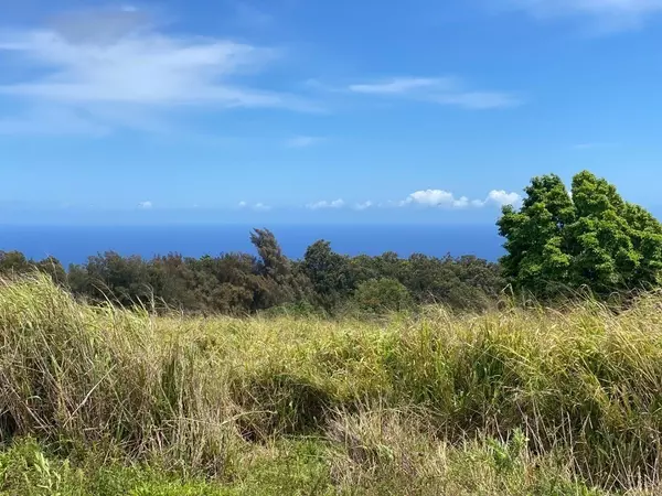 Honokaa, HI 96727,KALOPA MAUKA RD