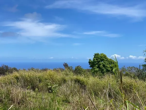 Honokaa, HI 96727,KALOPA MAUKA RD