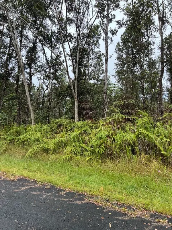 Puna, HI 96778,KONA RD