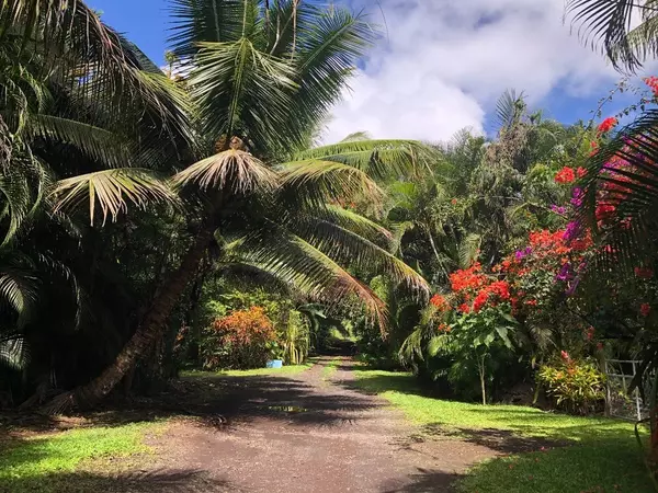 Pahoa, HI 96778,PUAKENIKENI RD