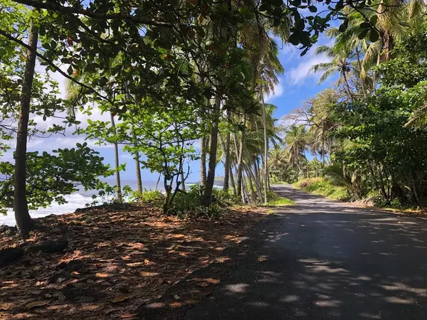 Pahoa, HI 96778,PUAKENIKENI RD