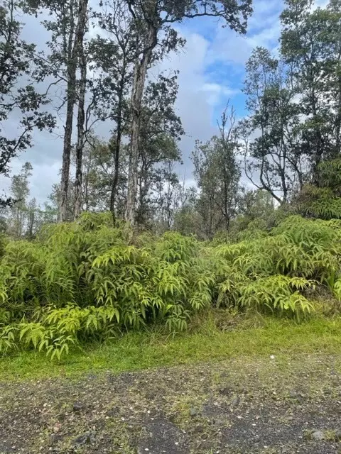 Pahoa, HI 96778,OAHU RD