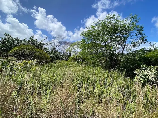 Keaau, HI 96749,15-1648 NONI RD