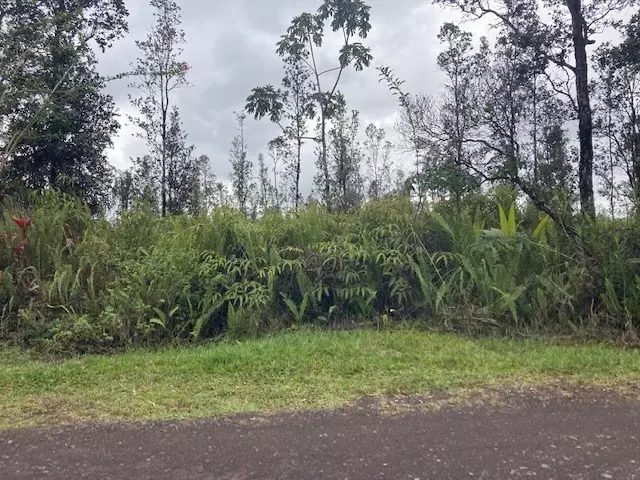 Kurtistown, HI 96760,ROAD 9 (KOLOA MAOLI)