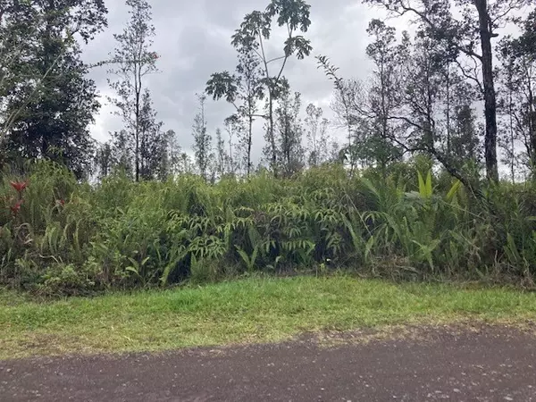 ROAD 9 (KOLOA MAOLI), Kurtistown, HI 96760