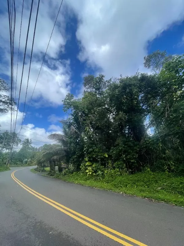 Pahoa, HI 96778,S PUNI MAKAI LOOP