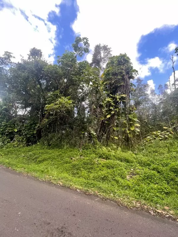 Pahoa, HI 96778,S PUNI MAKAI LOOP