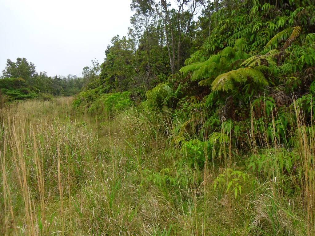 Naalehu, HI 96772,HEKAU ST