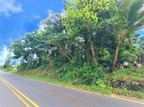 Pahoa, HI 96778,NANAWALE BLVD