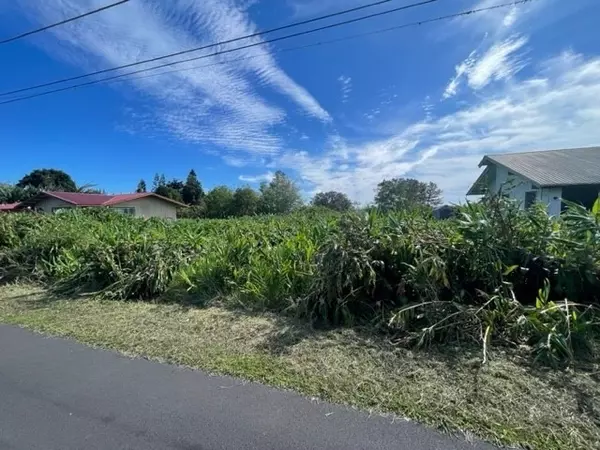 Kamuela, HI 96743,Hoohoa Street