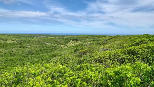 PUKA ST, Naalehu, HI 96772