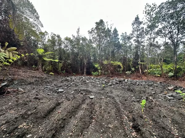 Volcano, HI 96785,NAHELENANI ST